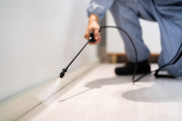 Licensed Fumigation Services service in Chase City, VA - Nex Pest Control