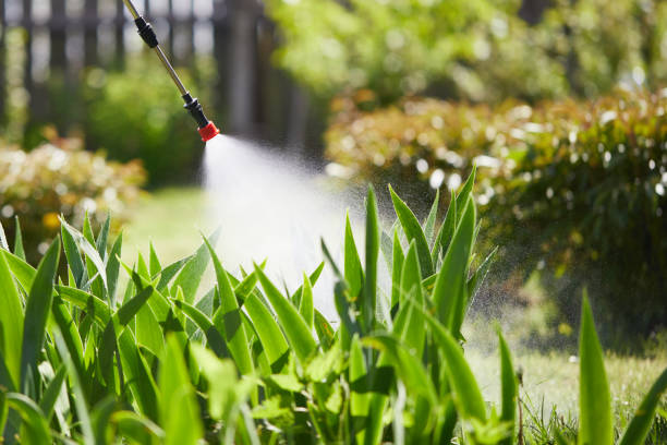 24/7 Emergency Fumigation Services experts in Chase City, VA
