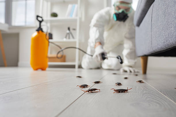 Trusted Fumigation Services service in Chase City, VA - Nex Pest Control